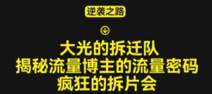 大光的拆迁队(30个片),揭秘博主的流量密码,疯狂的拆片会-网赚项目众筹网
