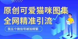 黑科技纯原创可爱猫咪图片,全网精准引流,实操5个VX号被加频繁-网赚项目众筹网