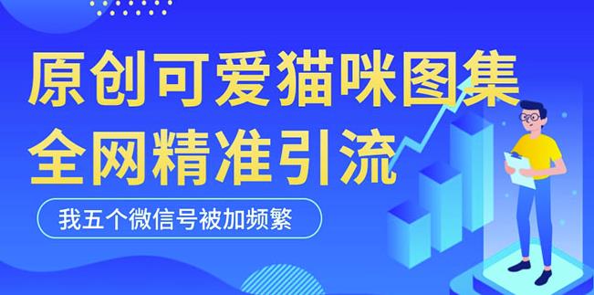 黑科技纯原创可爱猫咪图片，全网精准引流，实操5个VX号被加频繁-网赚项目众筹网