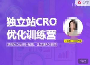 独立站CRO优化训练营，掌握独立站设计秘籍，打造高转化的独立站，让店铺ROI翻倍-网赚项目众筹网