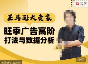 阿甘·亚马逊大卖家广告高阶打法与数据分析,走出传统广告误区;揭秘大卖惯用打法;数据驱动广告决策-网赚项目众筹网