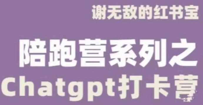 谢无敌ChatGPT打卡营，教你更好地使用ChatGPT来提高工作效率-网赚项目众筹网