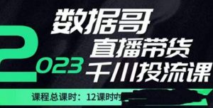 数据哥2023直播电商巨量千川付费投流实操课,快速掌握直播带货运营投放策略-网赚项目众筹网