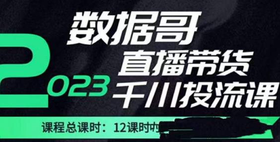 数据哥2023直播电商巨量千川付费投流实操课，快速掌握直播带货运营投放策略-网赚项目众筹网