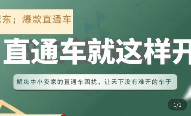 冠东·淘系直通车保姆级教程，全面讲解直通车就那么简单-网赚项目众筹网