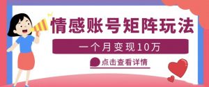 云天情感账号矩阵项目,简单操作,月入10万+可放大(教程+素材)-网赚项目众筹网