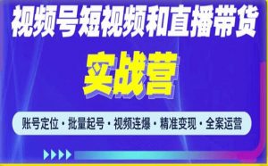 2023最新微信视频号引流和变现全套运营实战课程,小白也能玩转视频号短视频和直播运营-网赚项目众筹网