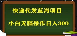 2023最新蓝海快递代发项目,小白零成本照抄也能日入300+-网赚项目众筹网