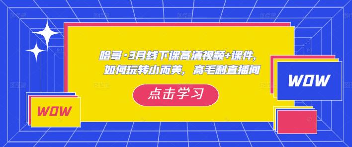 哈哥·3月线下实操课高清视频+课件，如何玩转小而美，高毛利直播间-网赚项目众筹网