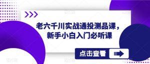 老六千川实战通投测品课,新手小白入门必听课-网赚项目众筹网