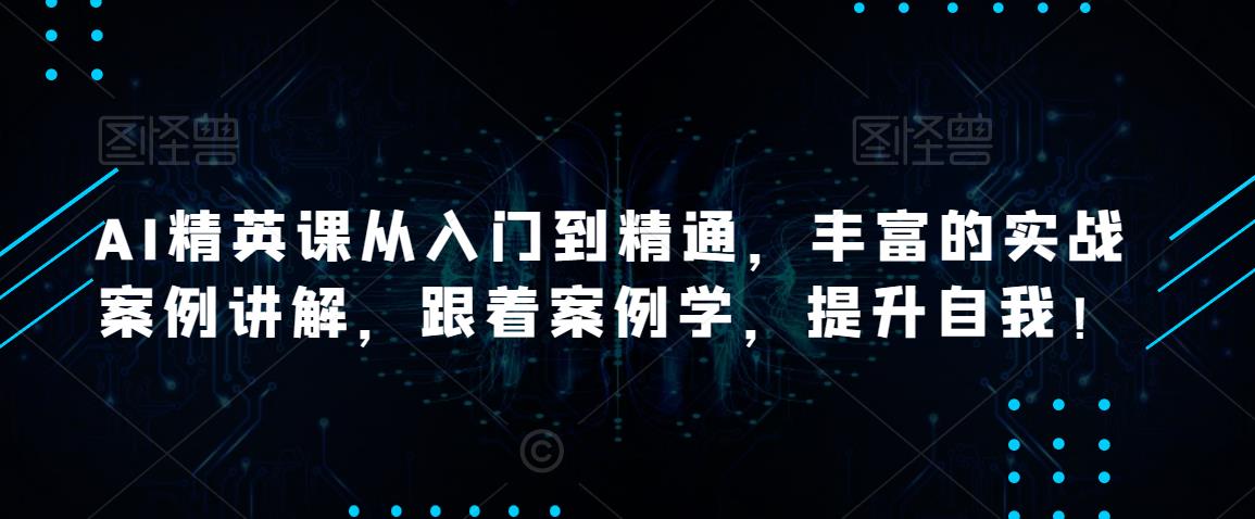 AI精英课从入门到精通，丰富的实战案例讲解，跟着案例学，提升自我！-网赚项目众筹网