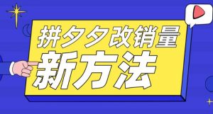 拼多多改销量新方法+卡高投产比操作方法+测图方法等-网赚项目众筹网