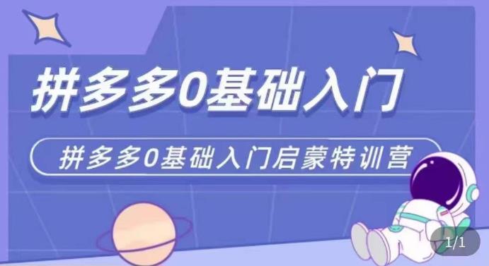 拼多多运营0-1实操特训营，拼多多0基础入门，从基础到进阶的可实操玩法-网赚项目众筹网