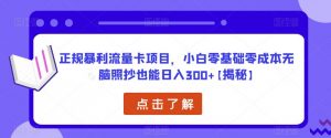 正规暴利流量卡项目,小白零基础零成本无脑照抄也能日入300+【揭秘】-网赚项目众筹网
