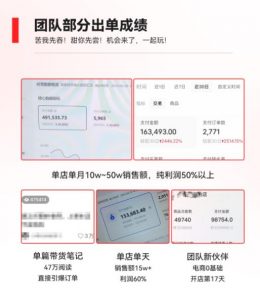 2023小红书电商火爆全网，新晋红利，风口项目，单店收益在3000-30000！-网赚项目众筹网