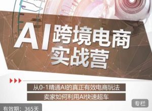 白龙老师·AI跨境电商实战营:从0-1精通Al的真正有效电商玩法,卖家如何利用Al快速超车-网赚项目众筹网