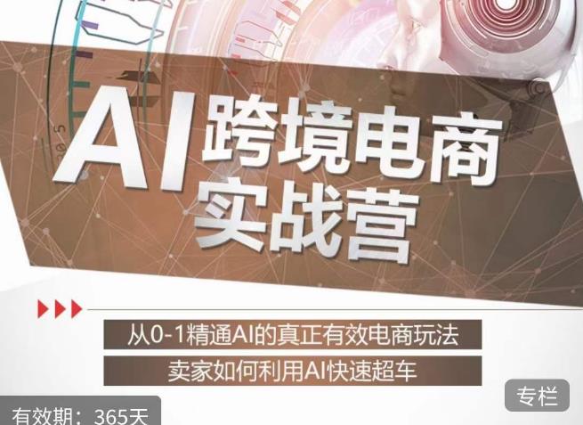 白龙老师·AI跨境电商实战营：从0-1精通Al的真正有效电商玩法，卖家如何利用Al快速超车-网赚项目众筹网