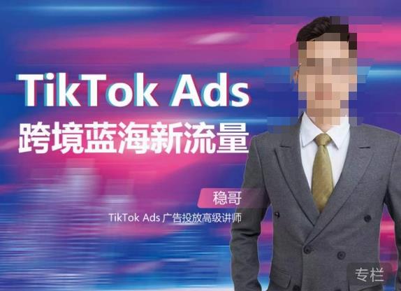 稳哥·如何投出高ROI的TikTok广告，开拓独立站卖家流量新蓝海-网赚项目众筹网