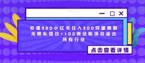 价值980小红书日入300突破限制无限私信日+100创业粉项目适合所有行业-网赚项目众筹网