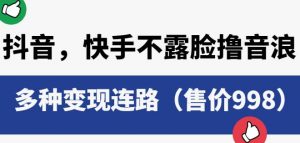 抖音快手不露脸撸音浪项目,多种变现连路(售价998)-网赚项目众筹网