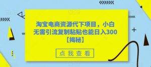淘宝电商资源代下项目,小白无需引流复制粘贴也能日入300+【揭秘】-网赚项目众筹网