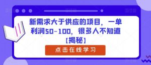 新需求大于供应的项目,一单利润50-100,很多人不知道【揭秘】-网赚项目众筹网