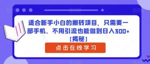 适合新手小白的搬砖项目，只需要一部手机、不用引流也能做到日入300+【揭秘】-网赚项目众筹网
