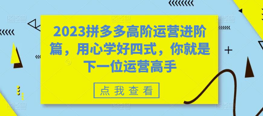 2023拼多多高阶运营进阶篇，用心学好四式，你就是下一位运营高手-网赚项目众筹网