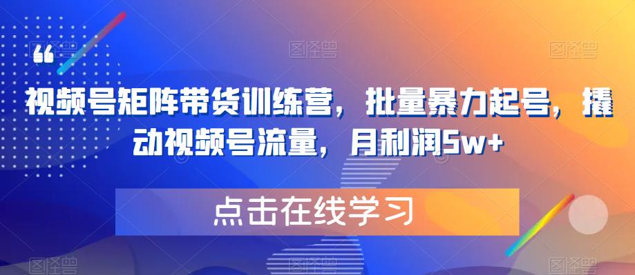 视频号矩阵带货训练营，批量暴力起号，撬动视频号流量，月利润5w+-网赚项目众筹网