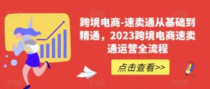 跨境电商-速卖通从基础到精通，2023跨境电商速卖通运营全流程-网赚项目众筹网
