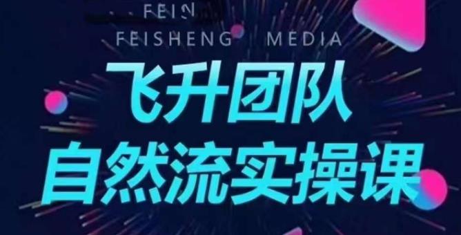 飞升团队课程自然流实操课，抖音半无人起号主播间搭建教学-网赚项目众筹网