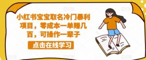 小红书宝宝取名冷门暴利项目,零成本一单赚几百,可操作一辈子-网赚项目众筹网