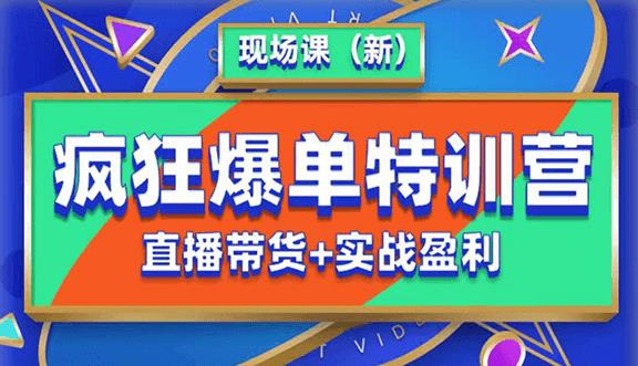 抖音短视频疯狂爆单特训营现场课（新）直播带货+实战案例-网赚项目众筹网