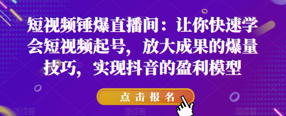 短视频锤爆直播间：让你快速学会短视频起号，放大成果的爆量技巧，实现抖音的盈利模型-网赚项目众筹网