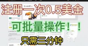国外项目注册一次0.5美金,只需三分钟无脑操作,可批量同时放大操作,小白工作室福利【揭秘】-网赚项目众筹网
