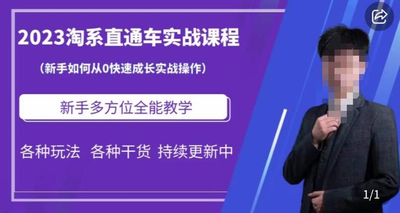 2023淘系直通车保姆式运营讲解，新手如何从0快速成长实战操作，新手多方位全能教学-网赚项目众筹网