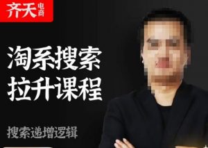 齐天电商·淘系搜索提升课程，​搜索递增标准化，动销标准化流程-网赚项目众筹网