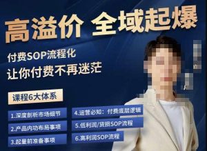 逸风-拼多多高溢价全域起爆,6大课程体系,付费玩法全套实操-网赚项目众筹网