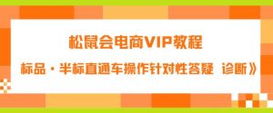 松鼠会电商VIP教程:松鼠《付费推广标品·半标直通车操作针对性答疑&诊断》-网赚项目众筹网