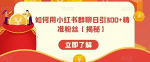 如何用小红书群聊日引300+精准粉丝【揭秘】-网赚项目众筹网