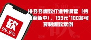 拼多多爆款打造特训营(持续更新中),199元*100套可复制爆款案例-网赚项目众筹网