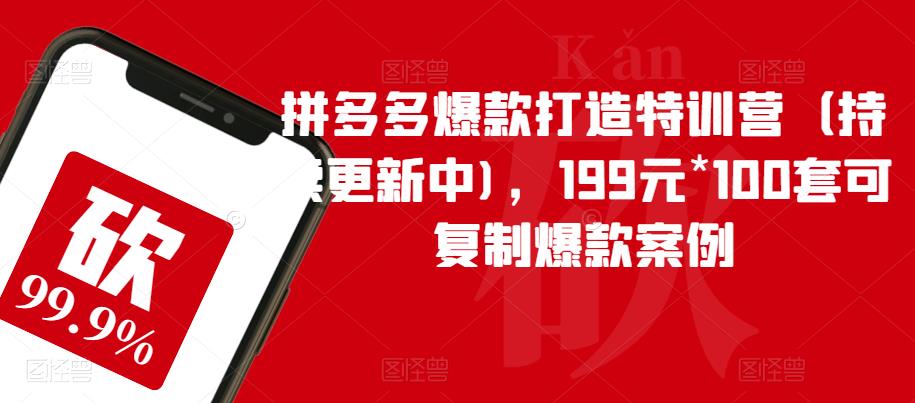 拼多多爆款打造特训营（持续更新中)，199元*100套可复制爆款案例-网赚项目众筹网