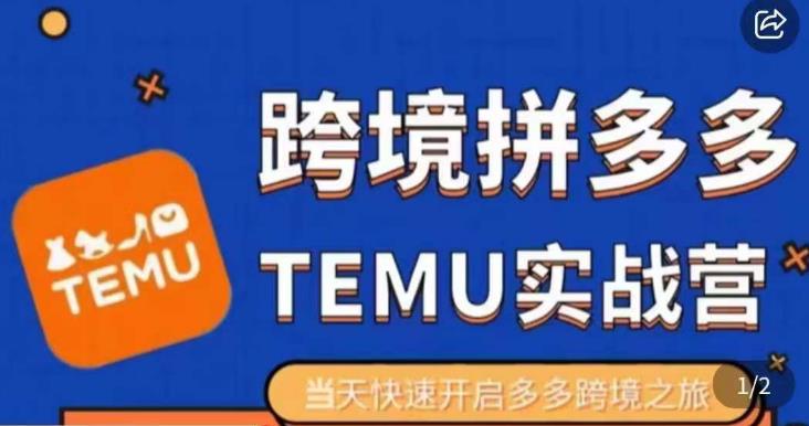 大鹏出海·拼多多跨境temu运营指导，开店注册+选品+核价上架，日出千单实战课-网赚项目众筹网