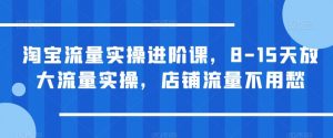 淘宝流量实操进阶课，8-15天放大流量实操，店铺流量不用愁-网赚项目众筹网