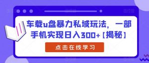 车载u盘暴力私域玩法，一部手机实现日入300+【揭秘】-网赚项目众筹网