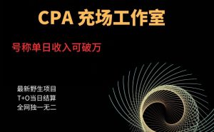 张子凡·20年实战经验,揭秘营销背后的底层逻辑,突破思维局限,从根本上破解营销难题-网赚项目众筹网