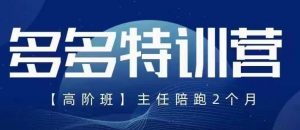 纪主任·5月最新多多特训营高阶班,玩法落地实操,多多全掌握-网赚项目众筹网