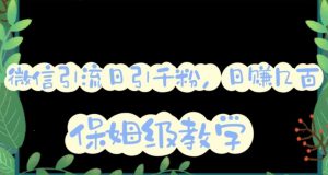 微信互推圈半自动引流方案,矩阵操作日引千人思路【详细视频教程】-网赚项目众筹网