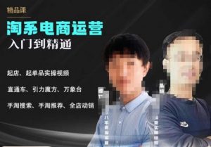 2023手淘搜索实操课+体系化课程，​起店起单品实操视频课程-网赚项目众筹网