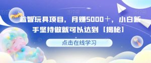 益智玩具项目,月赚5000+,小白新手坚持做就可以达到【揭秘】-网赚项目众筹网